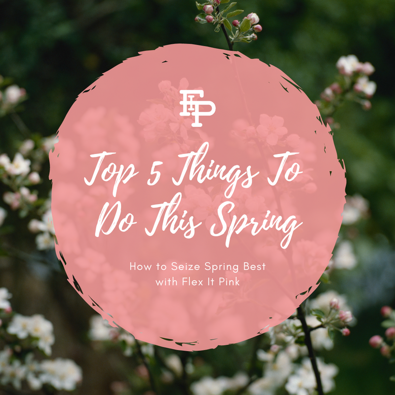 How to Seize SPRING best with FIP