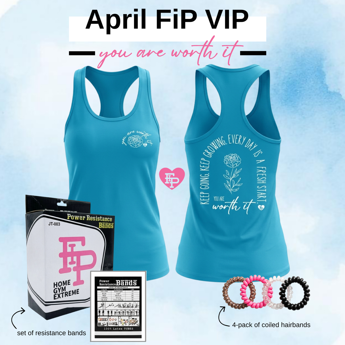 FIP VIP Monthly Subscription